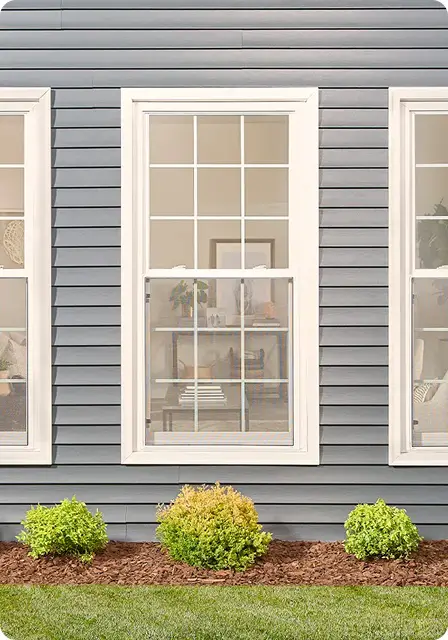 Window: Main