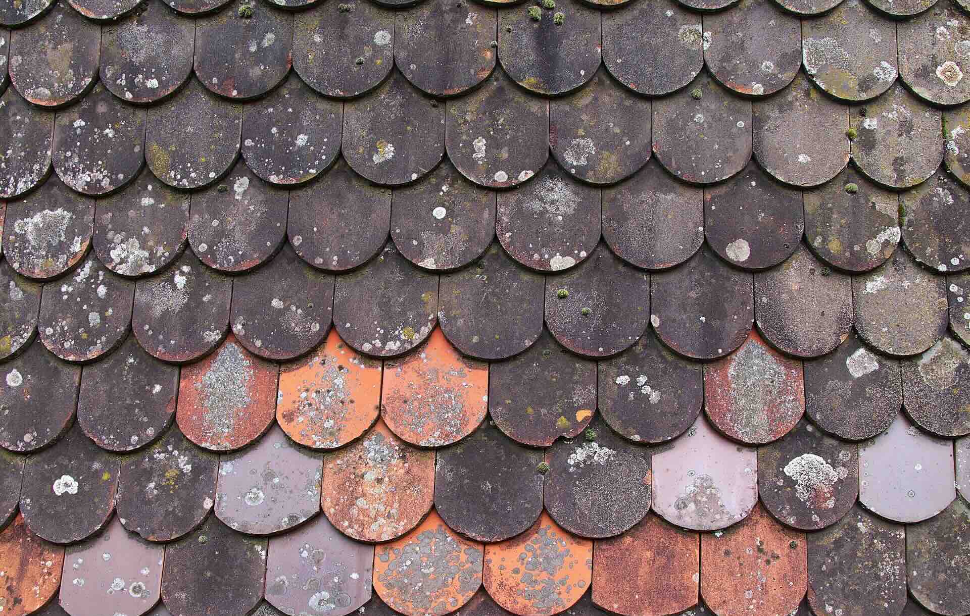 damaged roof tiles