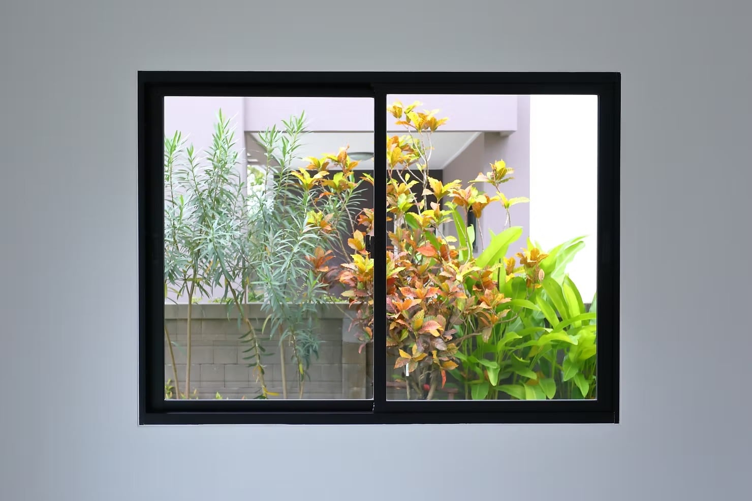 Guide to Horizontal Roller Windows: What Homeowners Should Know 6 plants