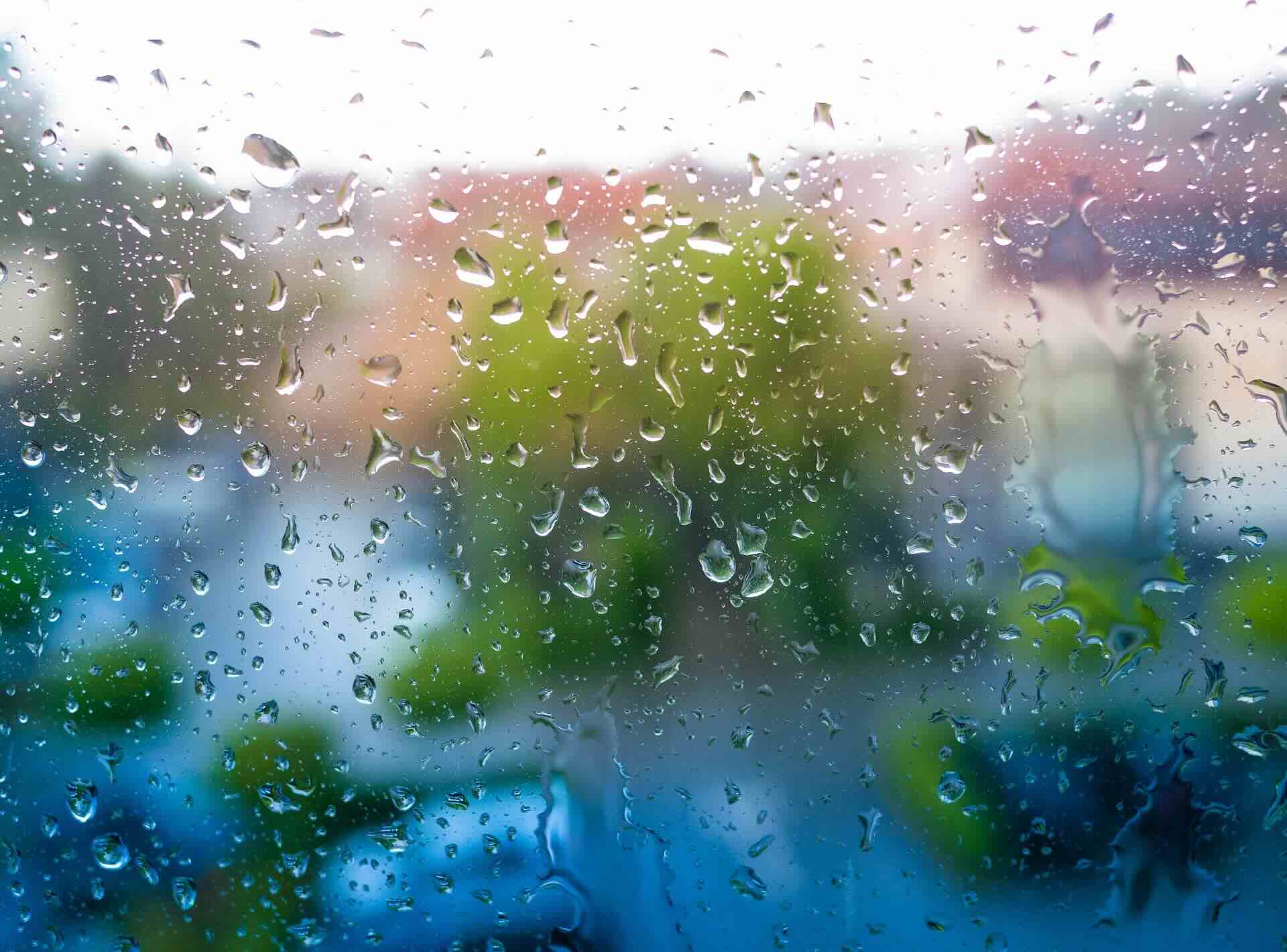 window raindrops greenery