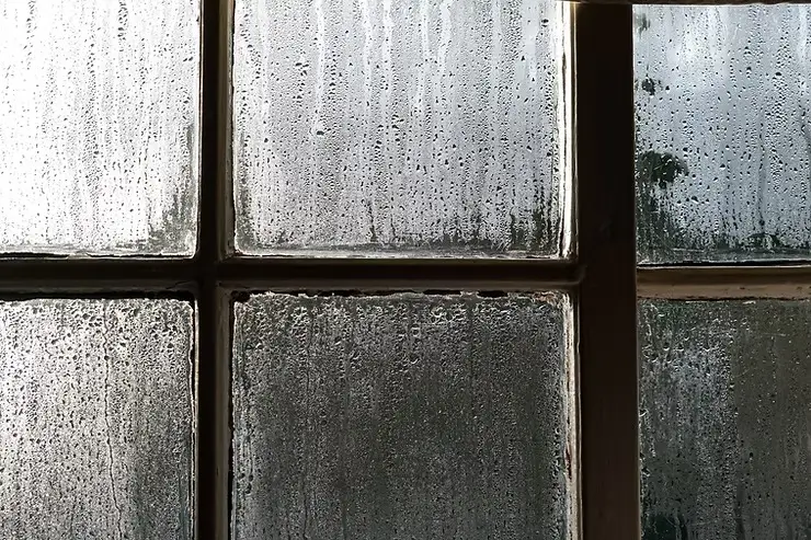 Why Replacing Your Windows Before Winter Is a Smart Investment 6 window